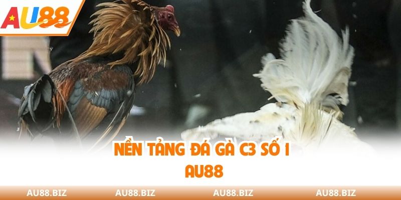 Nền tảng đá gà C3 số 1 AU88
